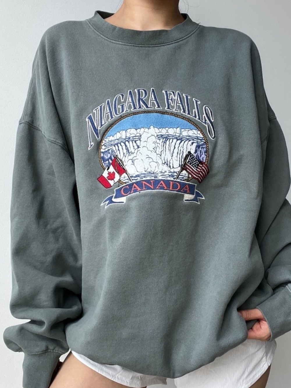 Brandy Melville Niagara Falls Crewneck Sweatshirt